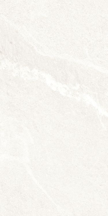 Dhara White Matte 12 x 24